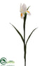 Silk Plants Direct Iris Spray - Cream White - Pack of 12