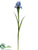 Iris Spray - Cream White Lavender Blue - Pack of 12