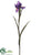 Iris Spray - Purple - Pack of 12