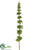 Large Bells of Ireland Spray - Green - Pack of 12