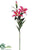 Casablanca Lily Spray - Rubrum - Pack of 6