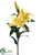 Casablanca Lily Spray - Yellow - Pack of 6