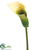 Calla Lily Spray - Olive Green - Pack of 12
