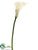 Large Calla Lily Spray - White - Pack of 12