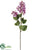 English Lilac Spray - Lilac Two Tone - Pack of 12