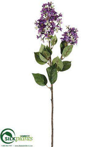Lilac Spray - Lavender Two Tone - Pack of 12