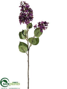 English Lilac Spray - Purple Two Tone - Pack of 12