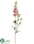 Larkspur Spray - Pink Two Tone - Pack of 12