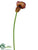 Calla Lily Spray - Cream Green - Pack of 12