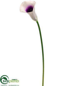 Calla Lily Spray - Cream Lavender - Pack of 12