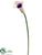 Calla Lily Spray - Green - Pack of 12