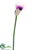 Calla Lily Spray - Green - Pack of 12
