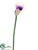 Calla Lily Spray - Lavender Two Tone - Pack of 12