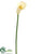 Calla Lily Spray - Lavender Two Tone - Pack of 12