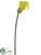 Calla Lily Spray - Green Light - Pack of 12