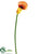 Calla Lily Spray - Orange - Pack of 12