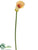 Calla Lily Spray - Peach - Pack of 12