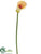 Calla Lily Spray - Peach - Pack of 12