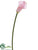 Calla Lily Spray - Peach - Pack of 12