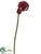 Calla Lily Spray - Wine - Pack of 12