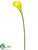 Calla Lily Spray - Yellow - Pack of 48