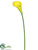 Calla Lily Spray - Yellow - Pack of 48