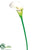 Calla Lily Spray - White - Pack of 24