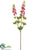 Lupinus Spray - Pink Rose - Pack of 12