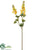 Lupinus Spray - Yellow - Pack of 12