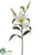 Lily Spray - Cream Green - Pack of 12