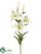 Lily Spray - White - Pack of 12