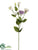 Lisianthus Spray - Lavender Two Tone - Pack of 12