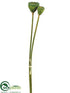 Silk Plants Direct Lotus Pod Bundle - Green - Pack of 12