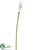 Calla Lily Spray - White - Pack of 12