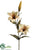 Large Lily Spray - Amber - Pack of 12