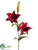 Large Lily Spray - Burgundy - Pack of 12