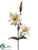 Large Lily Spray - Vanilla - Pack of 12