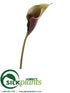 Silk Plants Direct Calla Lily Spray - Green Burgundy - Pack of 12
