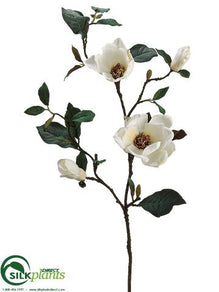 Magnolia Spray - Cream White - Pack of 6