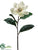 Magnolia Spray - Cream White - Pack of 12