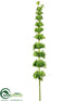 Silk Plants Direct Bells of Ireland Spray - Green - Pack of 12