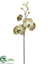 Silk Plants Direct Phalaenopsis Orchid Spray - Celadon - Pack of 12