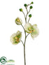 Silk Plants Direct Phalaenopsis Orchid Spray - Green Cream - Pack of 12