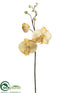 Silk Plants Direct Phalaenopsis Orchid Spray - Mustard - Pack of 12