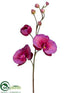 Silk Plants Direct Phalaenopsis Orchid Spray - Orchid - Pack of 12