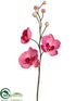 Silk Plants Direct Phalaenopsis Orchid Spray - Pink Fuchsia - Pack of 12