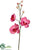 Phalaenopsis Orchid Spray - Pink Fuchsia - Pack of 12