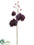 Phalaenopsis Orchid Spray - Purple Antique - Pack of 12