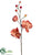 Phalaenopsis Orchid Spray - Rose Dusty - Pack of 12