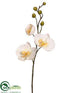 Silk Plants Direct Phalaenopsis Orchid Spray - White Yellow - Pack of 12